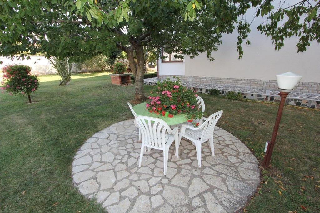 Apartments Anita Pomer Εξωτερικό φωτογραφία