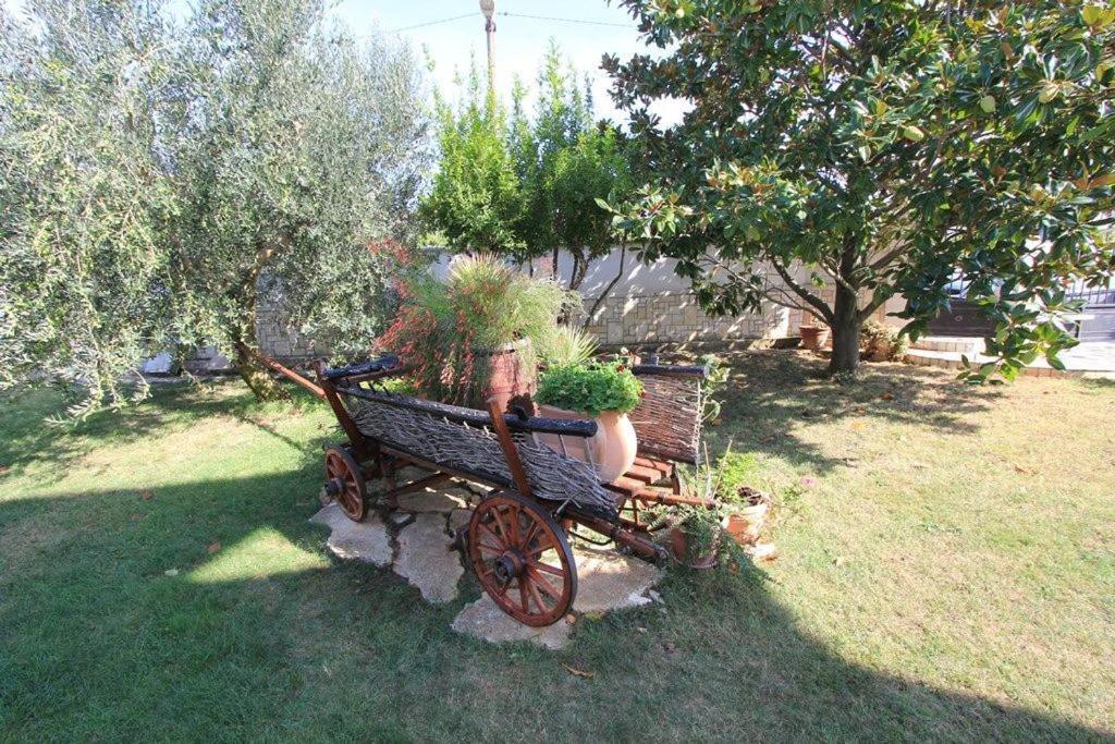Apartments Anita Pomer Εξωτερικό φωτογραφία