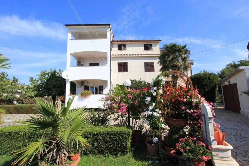 Apartments Anita Pomer Εξωτερικό φωτογραφία